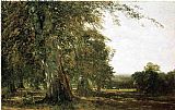 John Frederick Kensett Famous Paintings - Windsow Woods